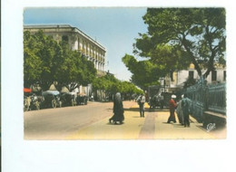 GUELMA - L'AVENUE SADI CARNOT - Guelma