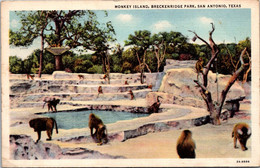 Texas San Antonio Breckenridge Park Monkey Island 1934 Curteich - San Antonio
