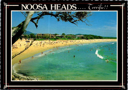 (2 F 1) Australia - QLD - Noosa Heads - Gold Coast