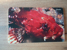 ISLE  OF MAN  USED CARDS  FISH FISHES - Isola Di Man