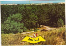 Ameland - (Wadden, Nederland / Holland) - Nr. L 3466 - Duin, Bos, Kinderen - Ameland
