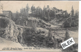 Suisse : Bourg Saint Pierre : Jardin Alpin  La Linnea . - Bourg-Saint-Pierre 