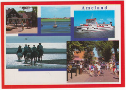 Ameland - (Wadden, Nederland / Holland - AMD 38 - Paarden, Veerboot Etc. - Ameland