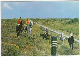 Groeten Van Het Eiland Ameland - (Wadden, Nederland / Holland - L 90 - Ruiters, Paarden, Duinen - Ameland