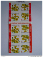 België Belgique 2005 Chrysant Chrysanthème André Buzin Boekje Carnet B55 3432 Yv 3417  MNH ** - 1997-… Permanent Validity [B]