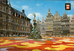 1102956  Antwerpen, Grosser Markt Mit Blumenteppich - Zonder Classificatie