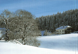 FRANCHE COMTE  Haut Jura Sous La Neige - Franche-Comté