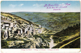 PALESTINE [ ISRAEL ] : VILLAGE De SILOË / VILLAGE Of SILOAH / JERUSALEM ~ 1910 - '920 ? (ai630) - Palestine