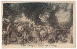 CPA - St Julien Les Martigues (B Du R) - Château D'Aigut, Les Vendanges - Autres & Non Classés