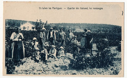 CPA - St Julien Les Martigues (B Du R) - Quartier Des Goirand , Les Vendanges - Autres & Non Classés