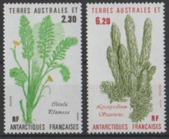 1987 TAAF Piante Plants Plantes Set MNH** Ab77 - Légumes