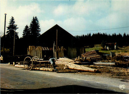 Haut Jura * Une Scierie * Métier Bois - Autres & Non Classés