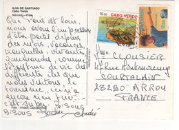 Timbres, Stamps  " Tortue Marine : Caretta Caretta , Eau Potable " Sur CP , Carte Photo , Postcard Du 13/08/92 - Cape Verde