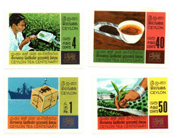 1967 - Ceylon 377/80 Coltivazione Del Tè - Heilpflanzen