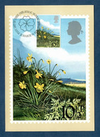 Großbritannien 1979  Mi.Nr. 786 , British Flowers / Daffodils - Maximum Card - First Day 21. March 1979 - Carte Massime