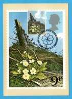 Großbritannien 1979  Mi.Nr. 785 , British Flowers / Primroses - Maximum Card - First Day 21. March 1979 - Carte Massime