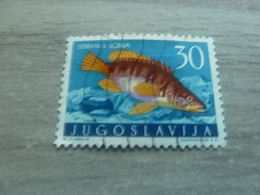 Jugoslavija - Serranus Scriba - Courvoisier - Val 30 - Multicolore - Oblitéré - Année 1971 - - Gebraucht