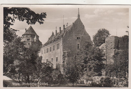 A6862) ALZEY - Rheinhessen Schloß ALT ! - Alzey