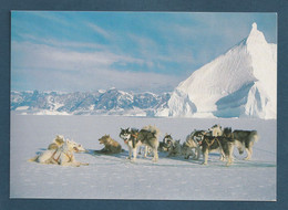 ⭐ TAAF - Carte Postale - Connaissances Des Régions Polaires - Raid Autour Du Plus Grand Fjord Du Monde ⭐ - TAAF : Franz. Süd- Und Antarktisgebiete