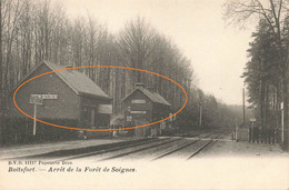 BOITSFORT - Arrêt De La Forêt De Soignes - Watermael-Boitsfort - Watermaal-Bosvoorde
