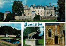 22-LANVELLEC-CHATEAU DE ROSAMBO-SANGLIER - Lanvellec