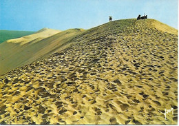 La Test De Buch - Bassin D'Arcachon - La Dune Du Pyla La Plus Haute D'Europe, Plus De 110 Mètres - Autres Communes