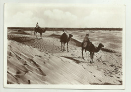 LIBIA - TRIPOLI 1935 - FOTOGRAFIA CAV. BRAGONI   VIAGGIATA  FG - Libya