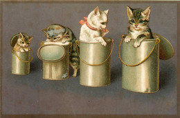 Chats Humanisés * CPA Illustrateur * Dans Des Pots ! * Chat Cat Cats Katze - Chats