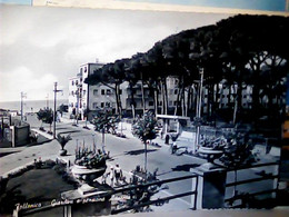 FOLLONICA (GROSSETO) - Giardini E Pensione Ausonia  VB1959 IL3670 - Grosseto