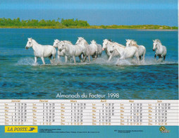 Almanach Du Facteur, Calendrier De La Poste, 1999 : Haute-Saône, Belfort: Les Chevaux Et L'eau. - Grand Format : 1991-00