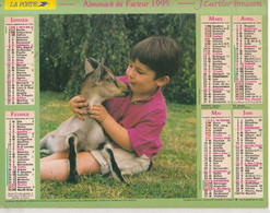 Almanach Du Facteur, Calendrier De La Poste, 1995 : Côte D'Or, Garçon Et Chevreau, Le Repas De La Basse-Cour. - Grand Format : 1991-00