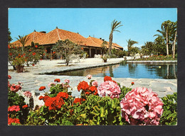 LA GOMERA  Hôtel Touristique "CONDE De La GOMERA" Vue Sur La Piscine Et Les Bâtiments (Eurimpex N° GO.7) - Gomera