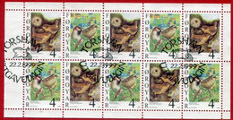 FAEROE IS. 1999 Sedentary Birds II Se-tenant Block Ex Booklet Used.  Michel 352-53 - Färöer Inseln