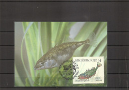 Belgique - Poissons - Epinoche ( CM De 1990 à Voir) - 1981-1990