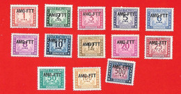 1949-54 (16-28) Segnatasse Del 1947-52 Sovrastampati Su Una Riga - Nuovo MNH - Segnatasse