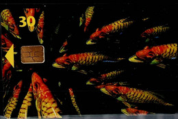DANMARK 1999 PHONECARD FISHES USED VF!! - Fish
