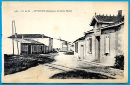 CPA 17 ILE De RE - RIVEDOUX - Commune De Ste Sainte-Marie - Ile De Ré