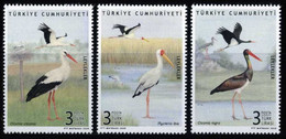 Türkiye 2020 Mi 4597-4599 MNH Storks: White Stork, Yellow-Billed Stork, Black Stork, Birds, Animals (Fauna) - Neufs