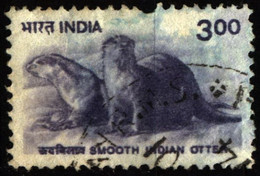 India 2000 Mi 1771 Smooth-coated Otter - Used Stamps
