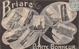 Briare        45       Porte Bonheur. Trèfle A Quatre Feuilles       (voir Scan) - Briare