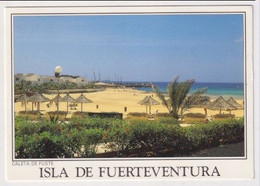 AK 029852 SPAIN - Fuerteventura - Caleta De Fuste - Fuerteventura