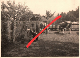 Foto Gasthaus Hotel Waldesruhe Waldesruh Lengefeld Obervorwerk Vorwerk Kalkwerk Lauterbach Marienberg Pockau Erzgebirge - Lengefeld