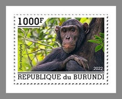 BURUNDI 2022 MNH Chimpanzees Schimpansen Chimpanzes 1v - OFFICIAL ISSUE - DHQ2203 - Chimpancés