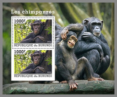 BURUNDI 2022 MNH Chimpanzees Schimpansen Chimpanzes S/S - OFFICIAL ISSUE - DHQ2203 - Chimpanzees