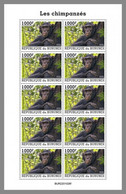 BURUNDI 2022 MNH Chimpanzees Schimpansen Chimpanzes M/S - OFFICIAL ISSUE - DHQ2203 - Chimpanzees