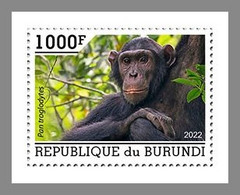 BURUNDI 2022 MNH Chimpanzees Schimpansen Chimpanzes 1v - IMPERFORATED - DHQ2203 - Chimpanzees
