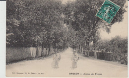 BRULON (72) - Avenue Des Fresnes - Facteurs à Bicyclette - 1910 - Bon état - Brulon