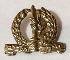 ISRAEL - Small Old Military IDF ZAHAL Pin Cap Badge Judaica Jew Jews Jewish Judaika Beret Insignia - Otros & Sin Clasificación