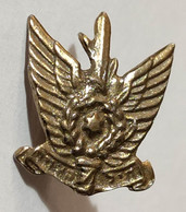 ISRAEL - Small Old Military IDF ZAHAL Pin Cap Badge Judaica Jew Jews Jewish Judaika Beret Insignia David Star Of Étoile - Autres & Non Classés