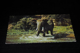 39100-                            EAST AFRICA, ELEPHANT - Éléphants